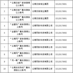 云南信息報旗下六產品獲首批互聯網新聞信息服務許可，賦能區域信息服務新格局